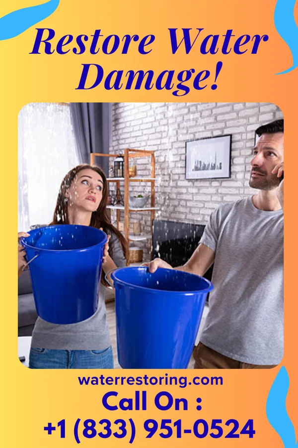 water restoration Pro Flood Damage Professionals Harrison