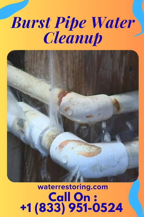 Burst Pipe Water Cleanup in Harrison, OH