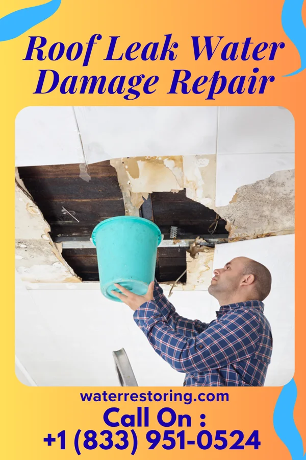 Roof Leak Water Damage Repair in Harrison, OH