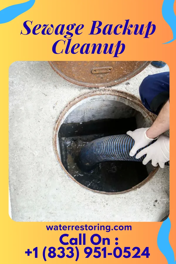 Sewage Backup Cleanup in Harrison, OH